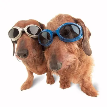 doggles